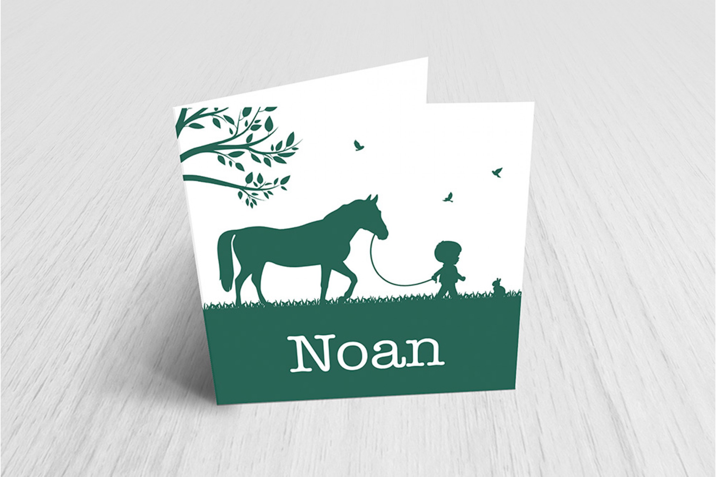 Jongen met paard